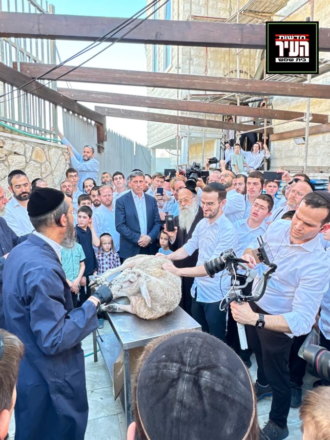 Yaakov with the camera in the middle of a crowd of men around a table under a pergola